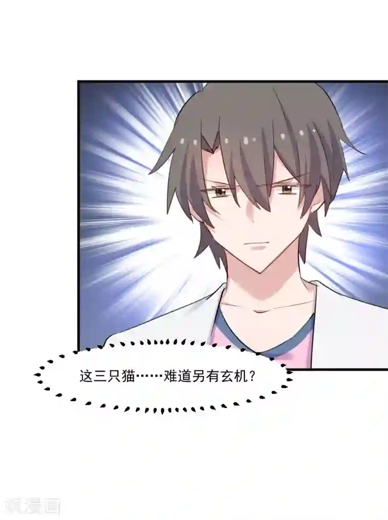 救命！我的男票是妖怪第100话 我的猫居然喜欢他？