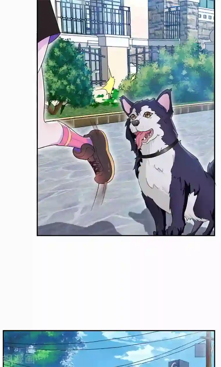 兮兮罗曼史第31话 替嫁工具不该有感情