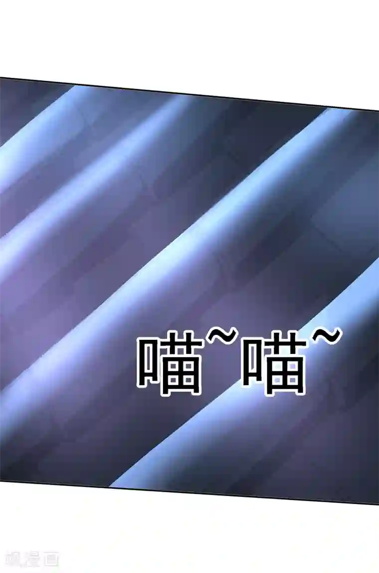 帝凰之神医弃妃第13话 消失的印记