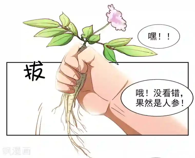 神医小农民第2话