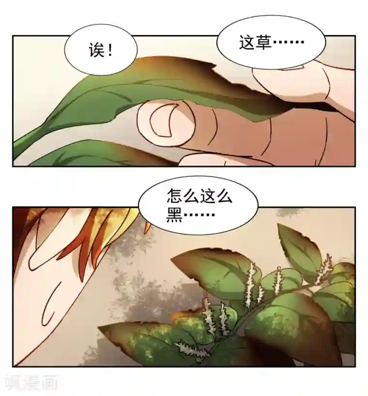 神医小农民第8话