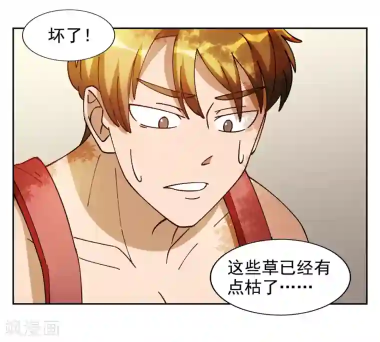 神医小农民第8话