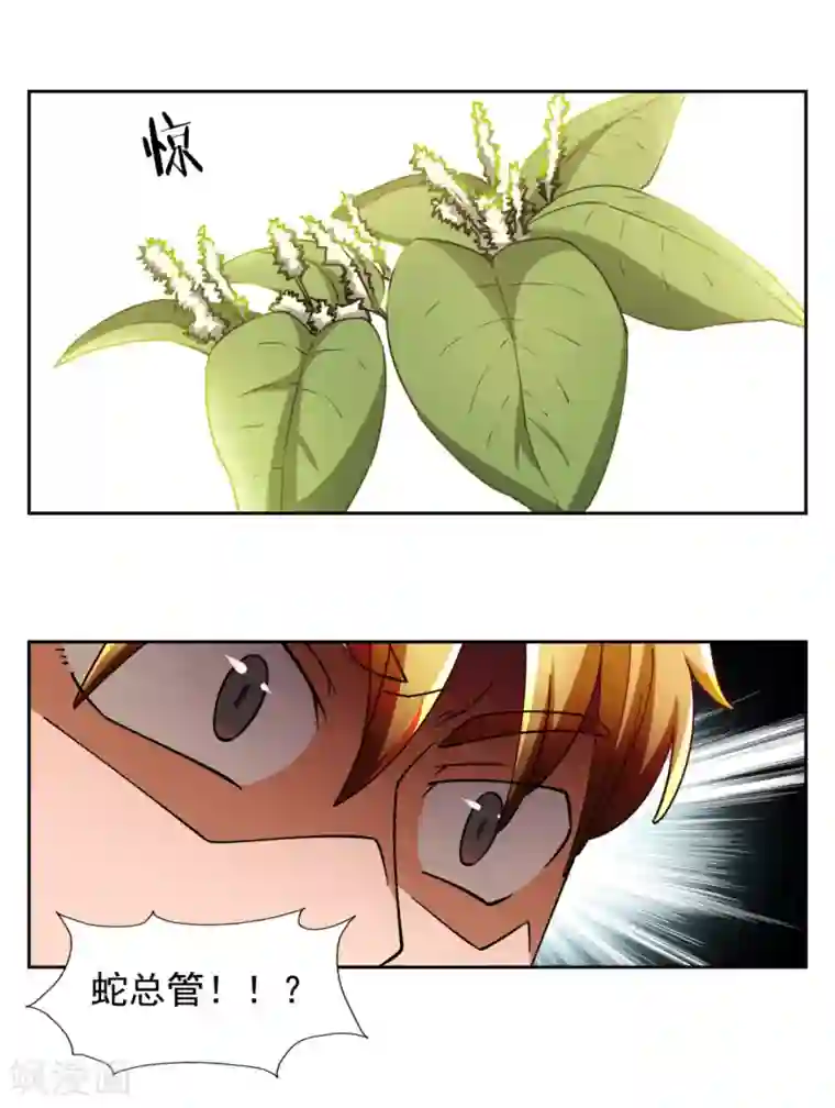 神医小农民第8话