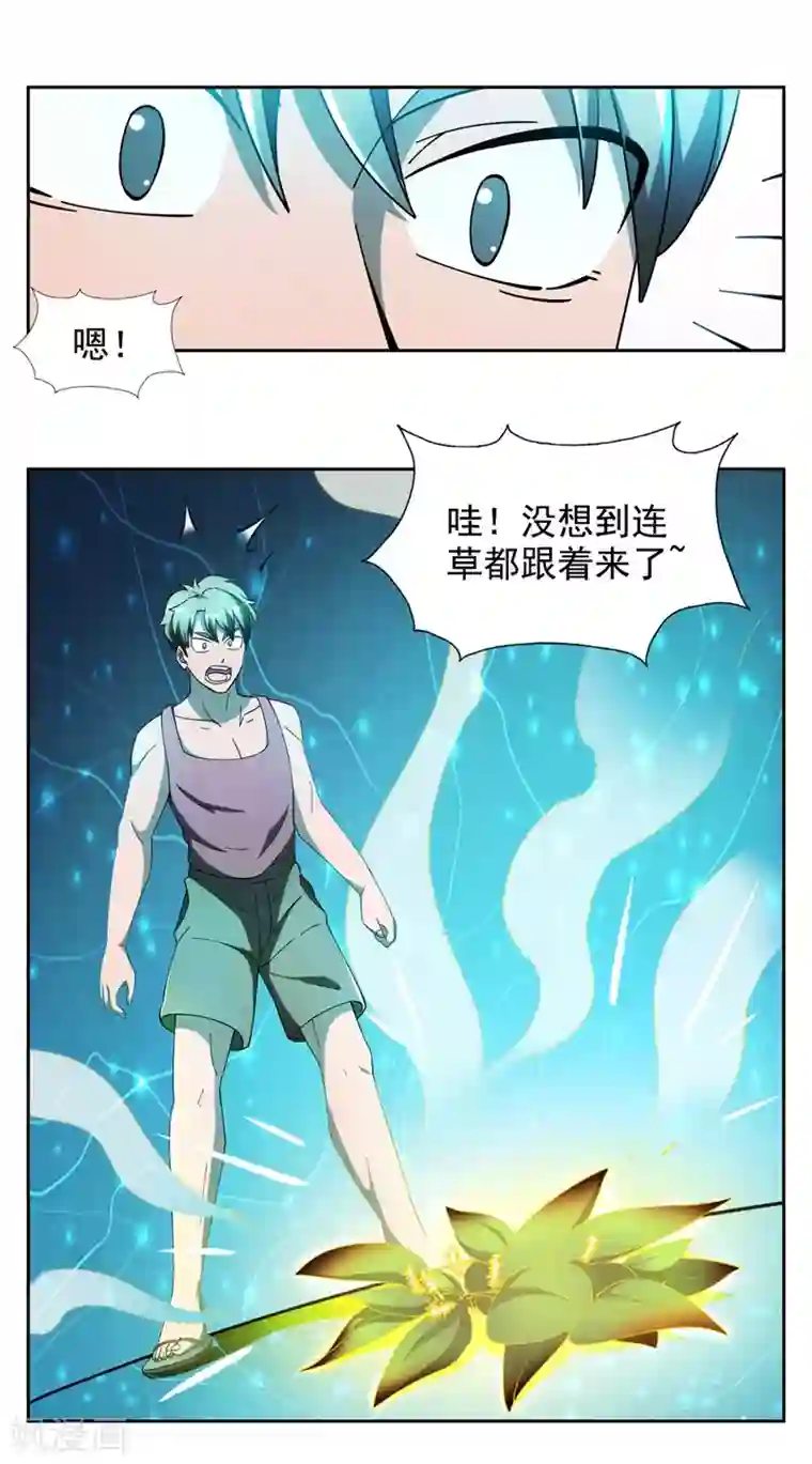 神医小农民第9话