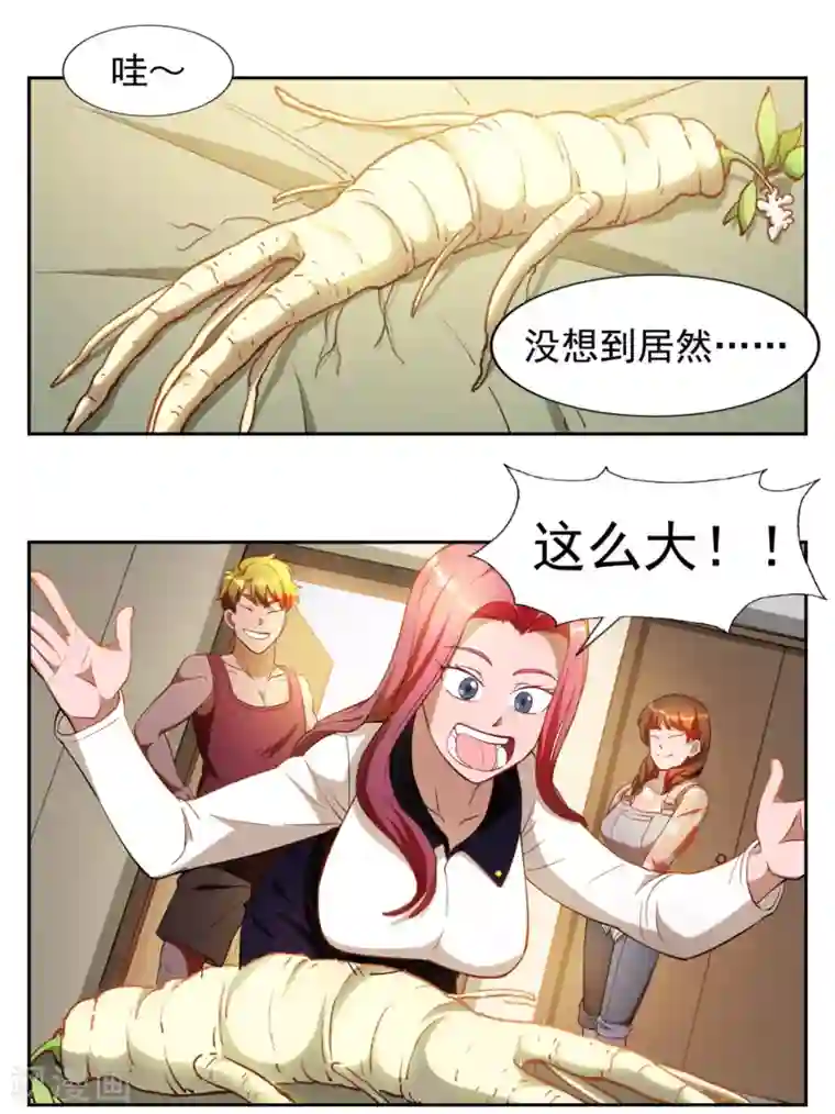 神医小农民第12话