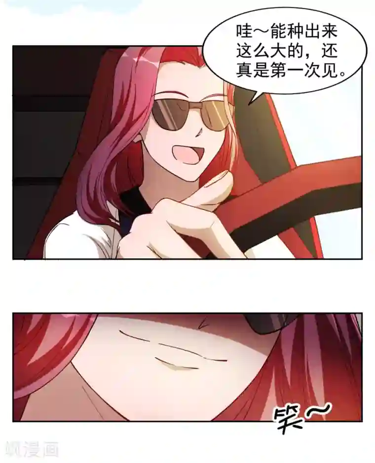 神医小农民第12话