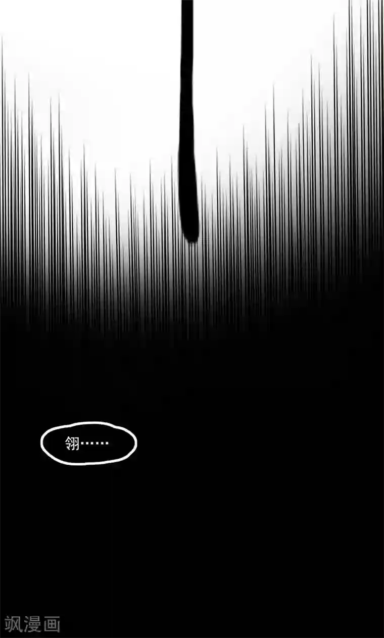 抖音的鸡怎么看得出来第1话 相逢