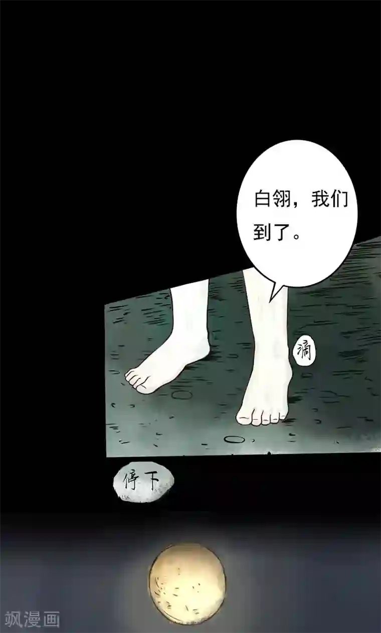 抖音的鸡怎么看得出来第1话 相逢