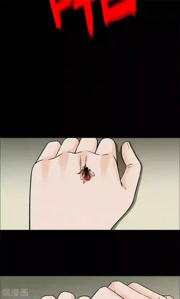 密集黑洞第1话 巢1