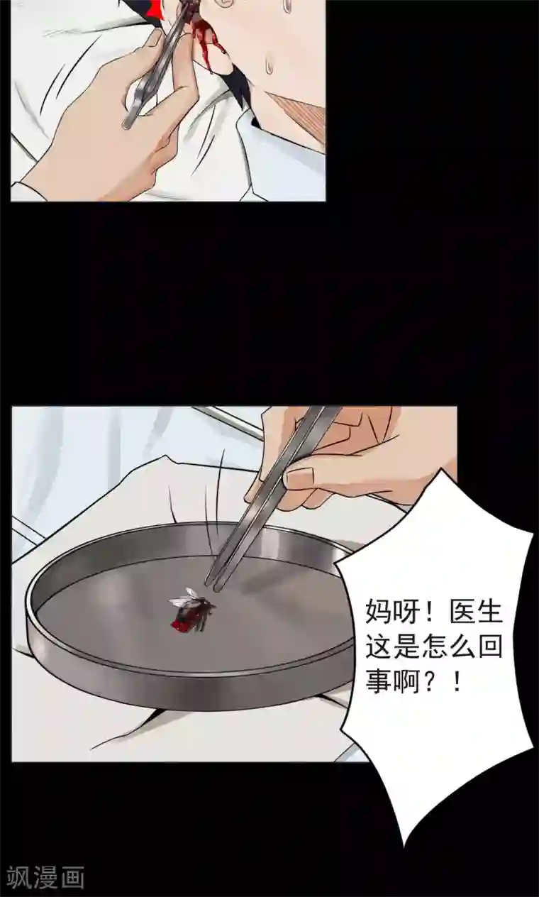 密集黑洞第2话 巢2