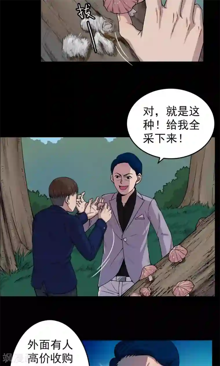 密集黑洞第13话 蘑菇村1