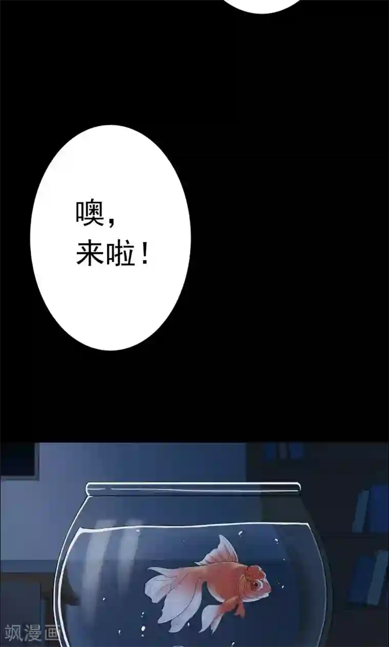 密集黑洞第21话 弹珠2