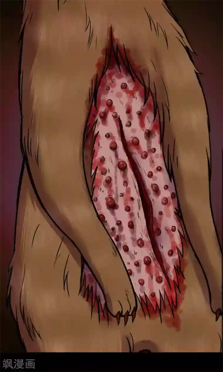 密集黑洞第41话 虫娘3