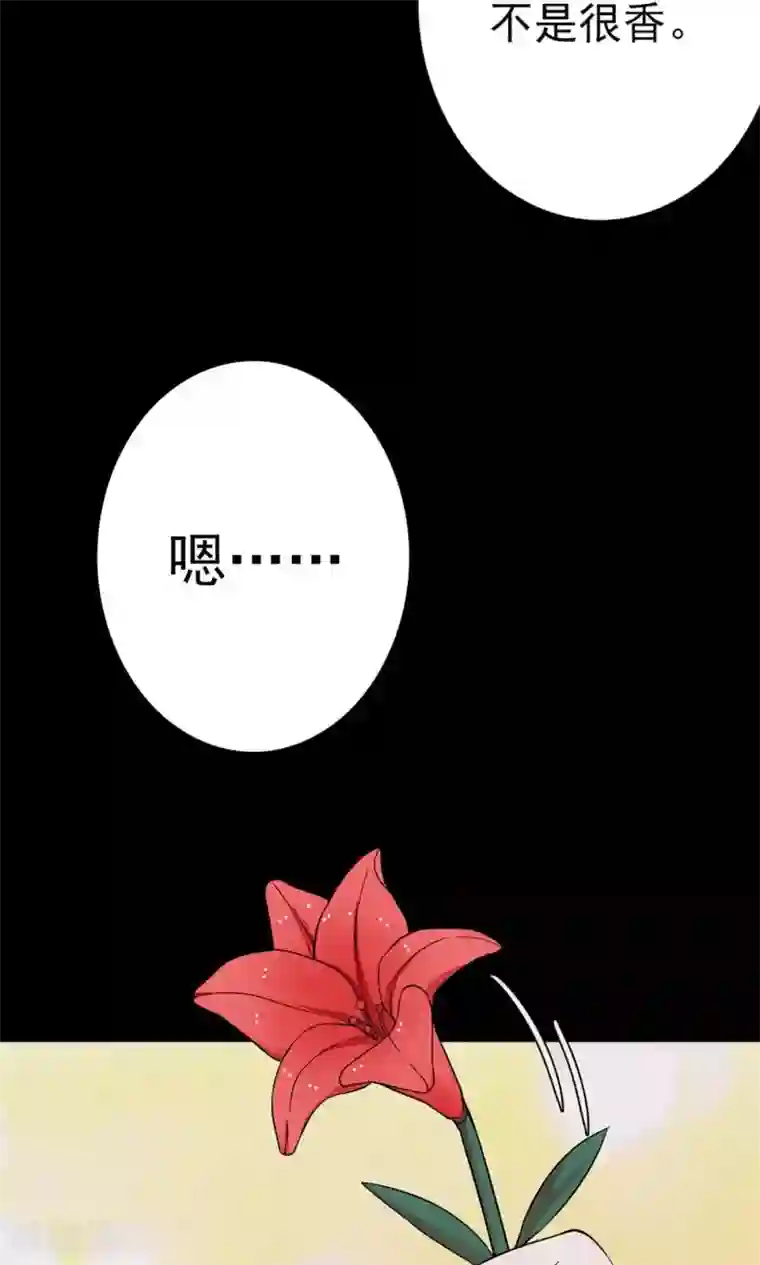 密集黑洞第99话 花1