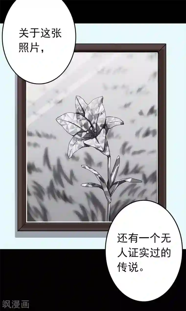 密集黑洞第99话 花1