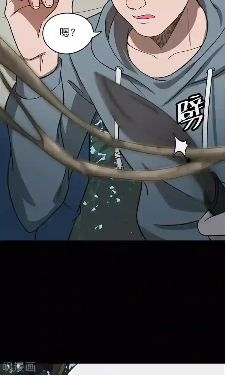 密集黑洞第102话 密林