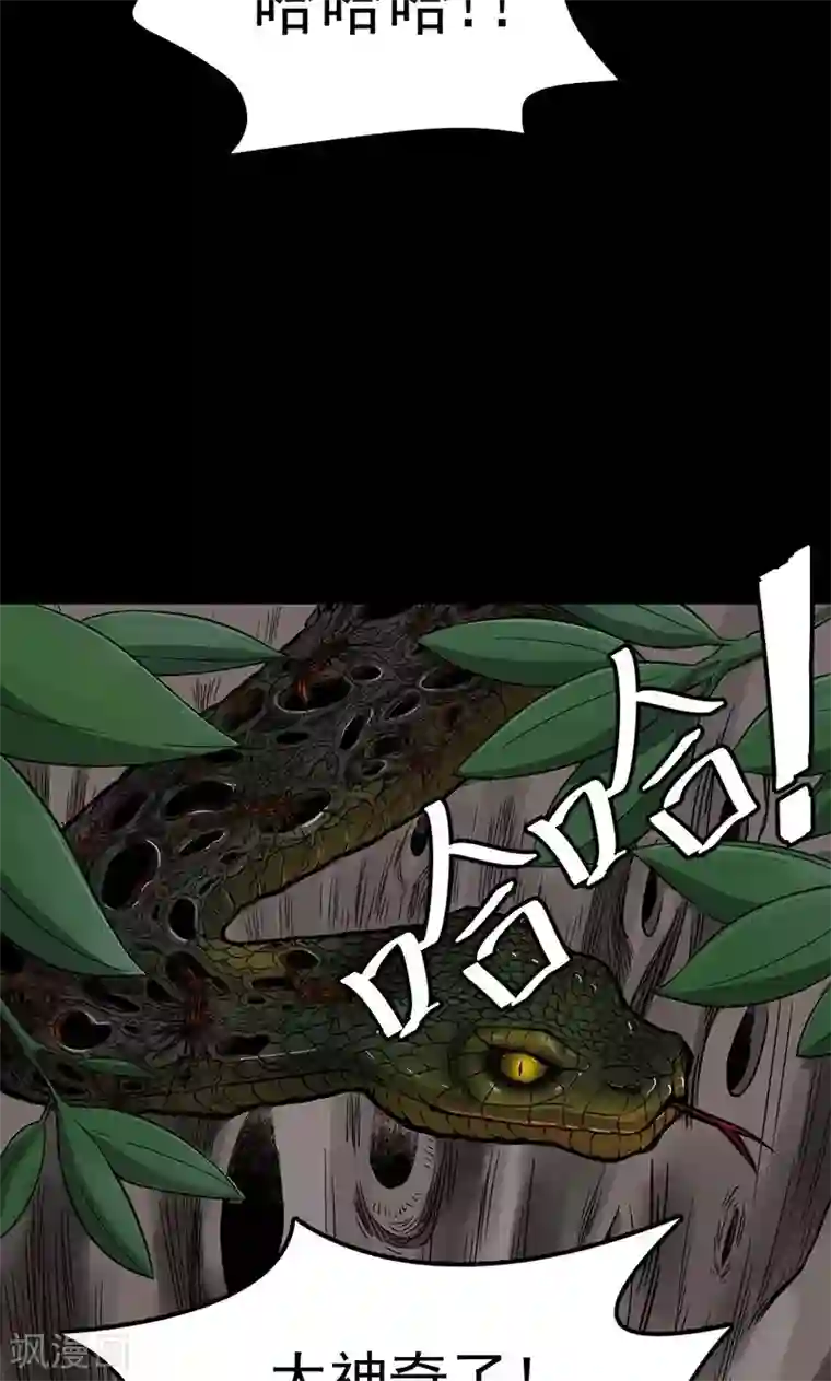 密集黑洞第102话 密林