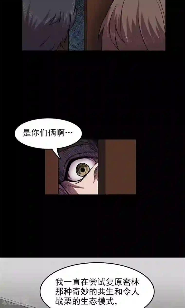 密集黑洞第102话 密林