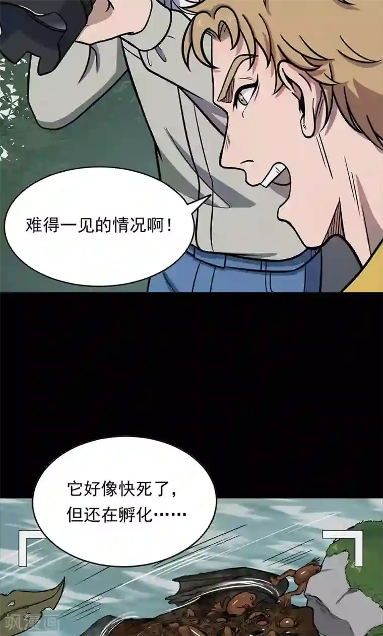 密集黑洞第102话 密林