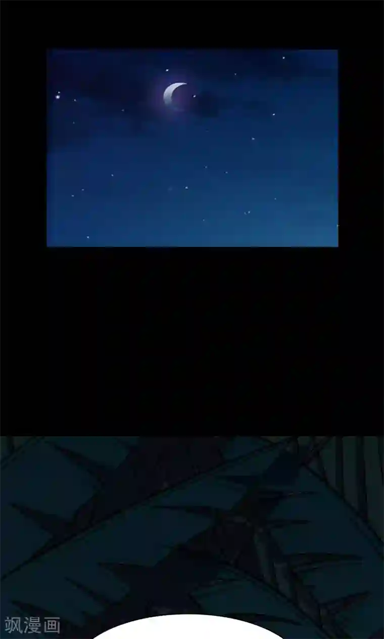 密集黑洞第102话 密林