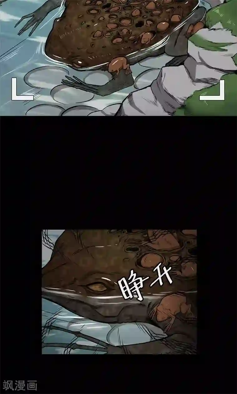 密集黑洞第102话 密林