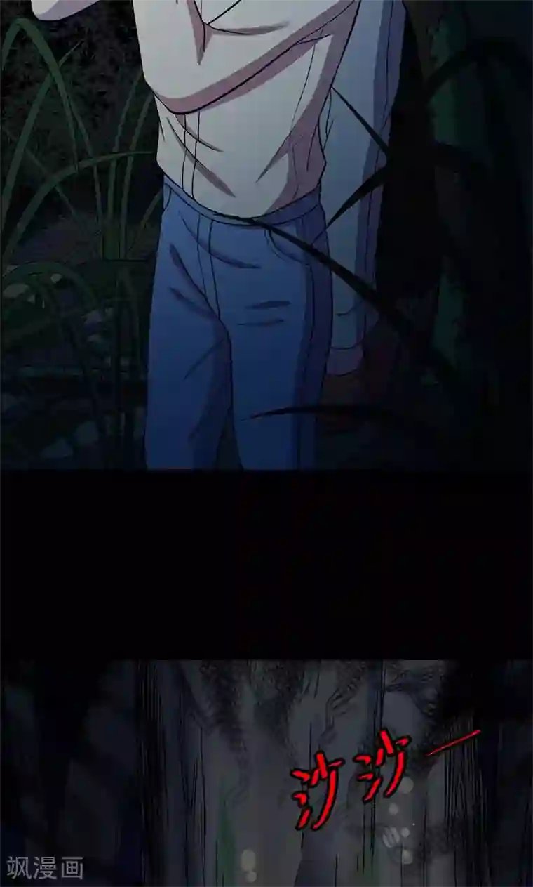 密集黑洞第102话 密林