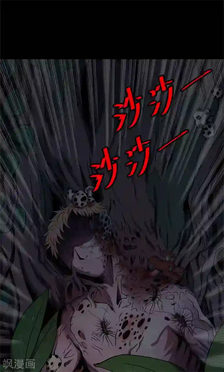 密集黑洞第102话 密林