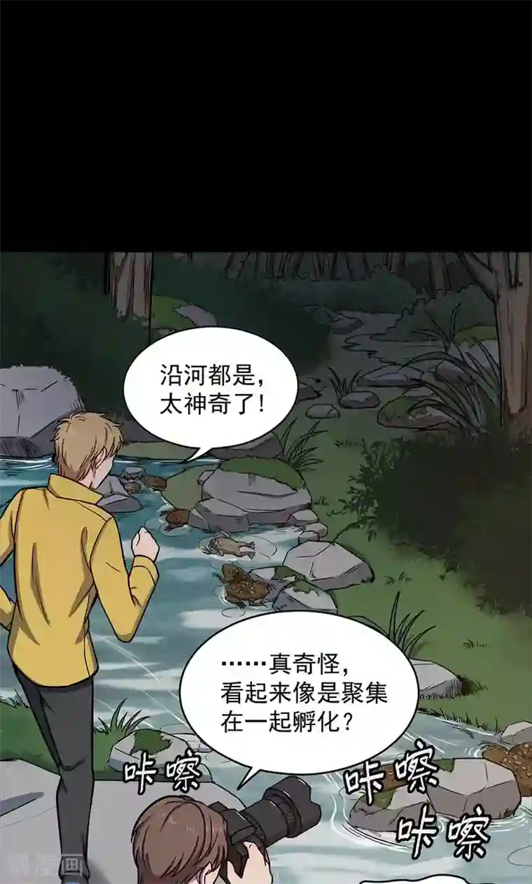 密集黑洞第102话 密林