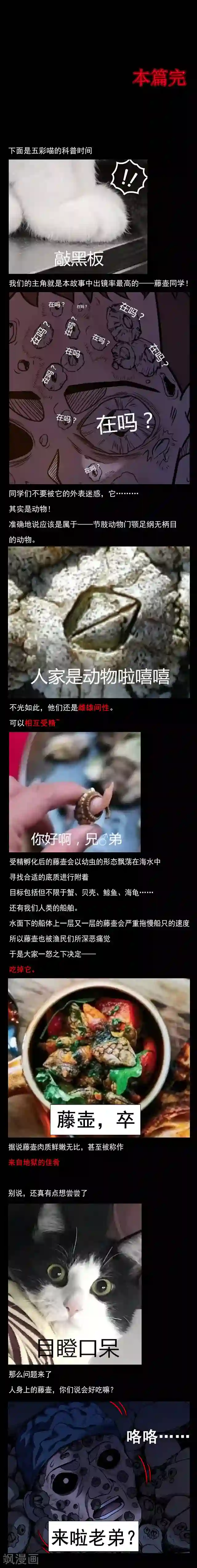 密集黑洞第105话 藤壶男孩3