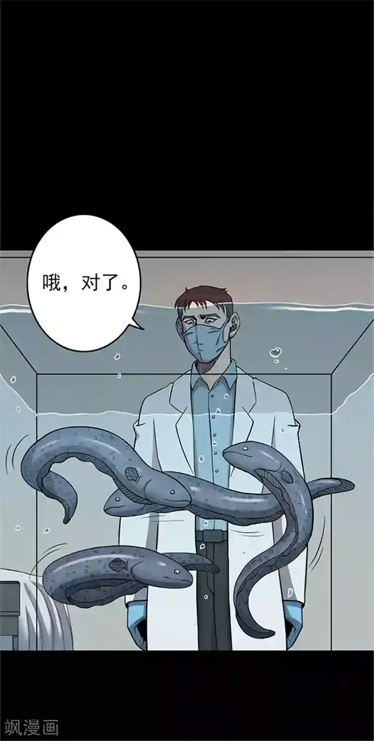 密集黑洞第107话 拳击2