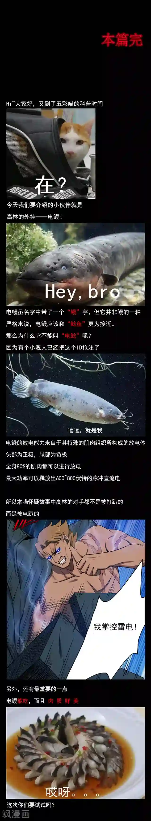 密集黑洞第108话 拳击3