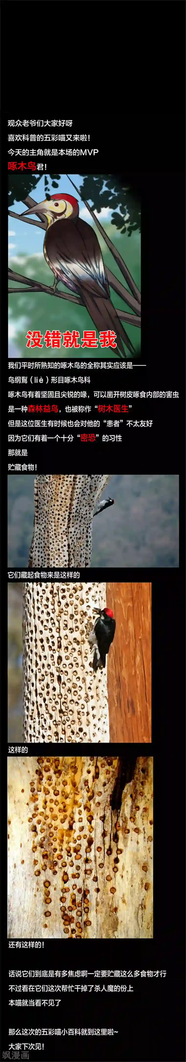 妇女露脸11p第131话 一见钟情2