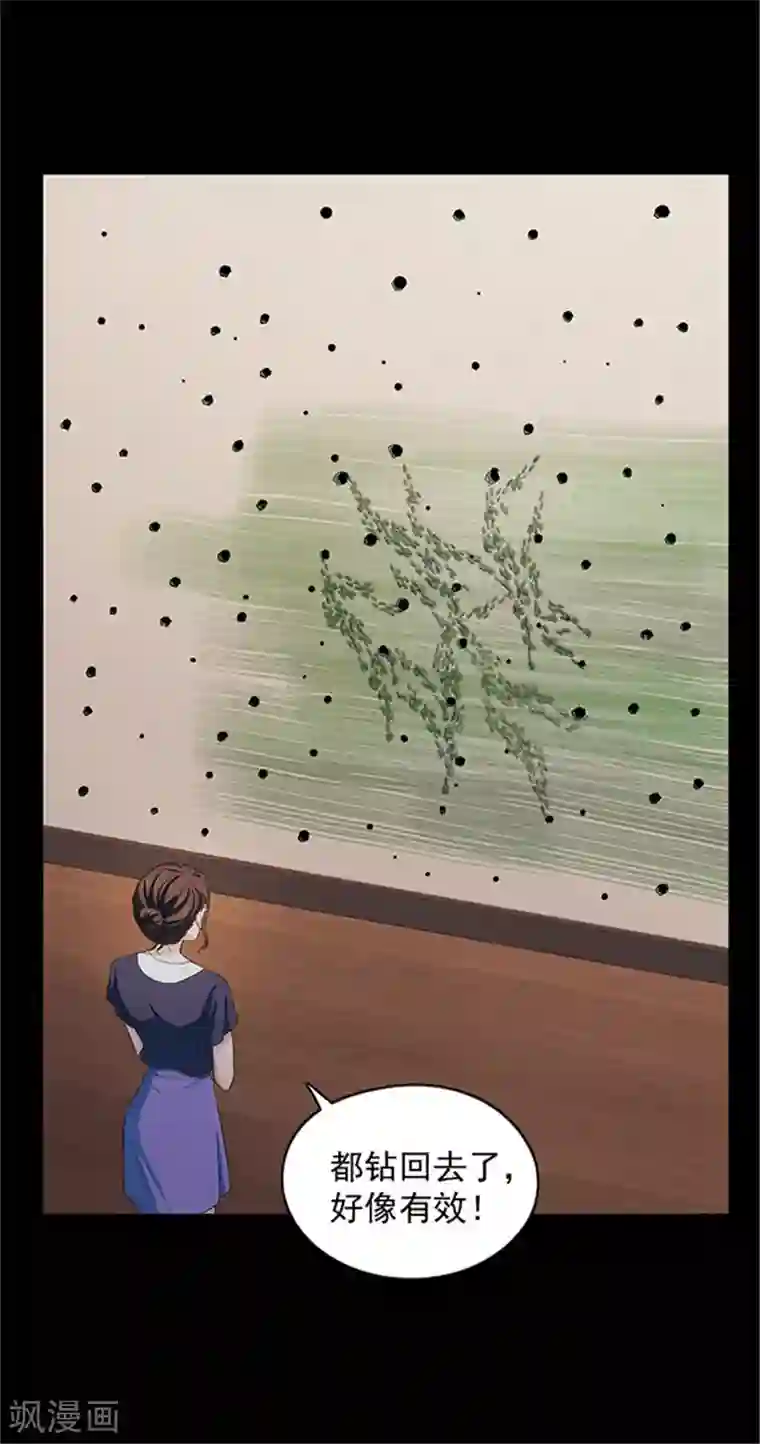 密集黑洞第138话 白蚁2