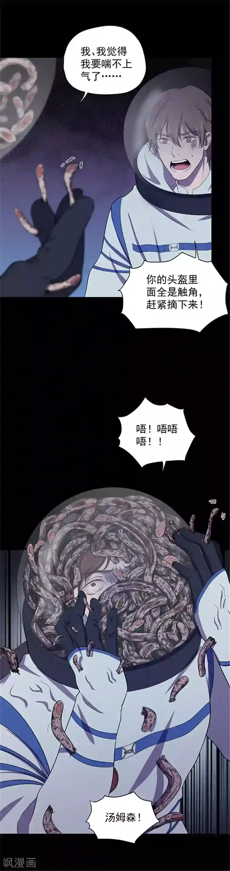 密集黑洞第145话 赤道落日