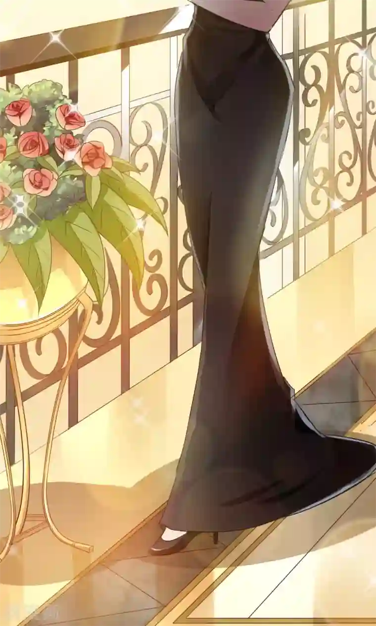 豪门BOSS天价妻第36话 晚宴