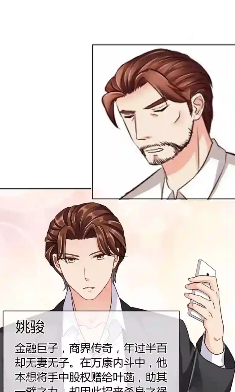 豪门BOSS天价妻番外 人物设定