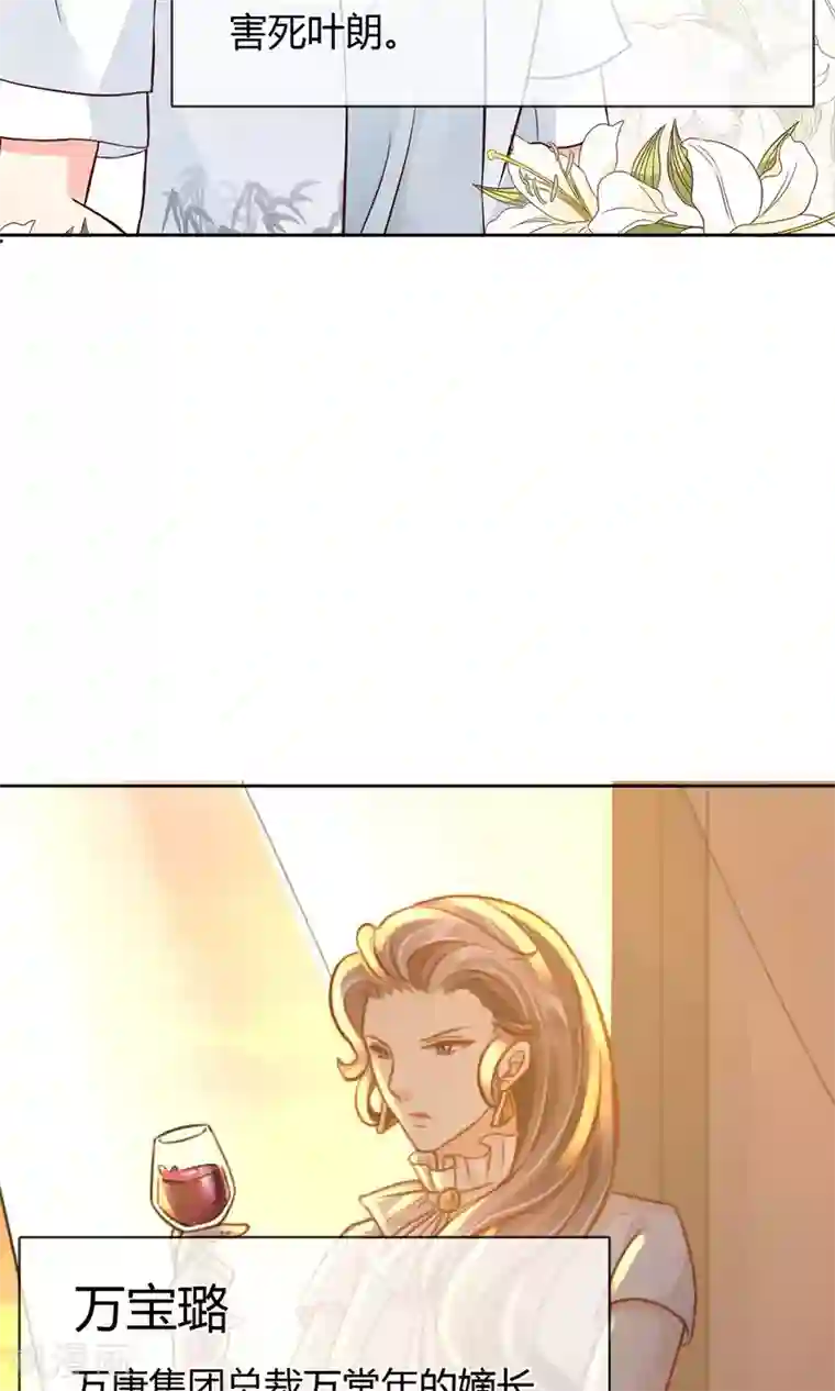 豪门BOSS天价妻番外 人物设定