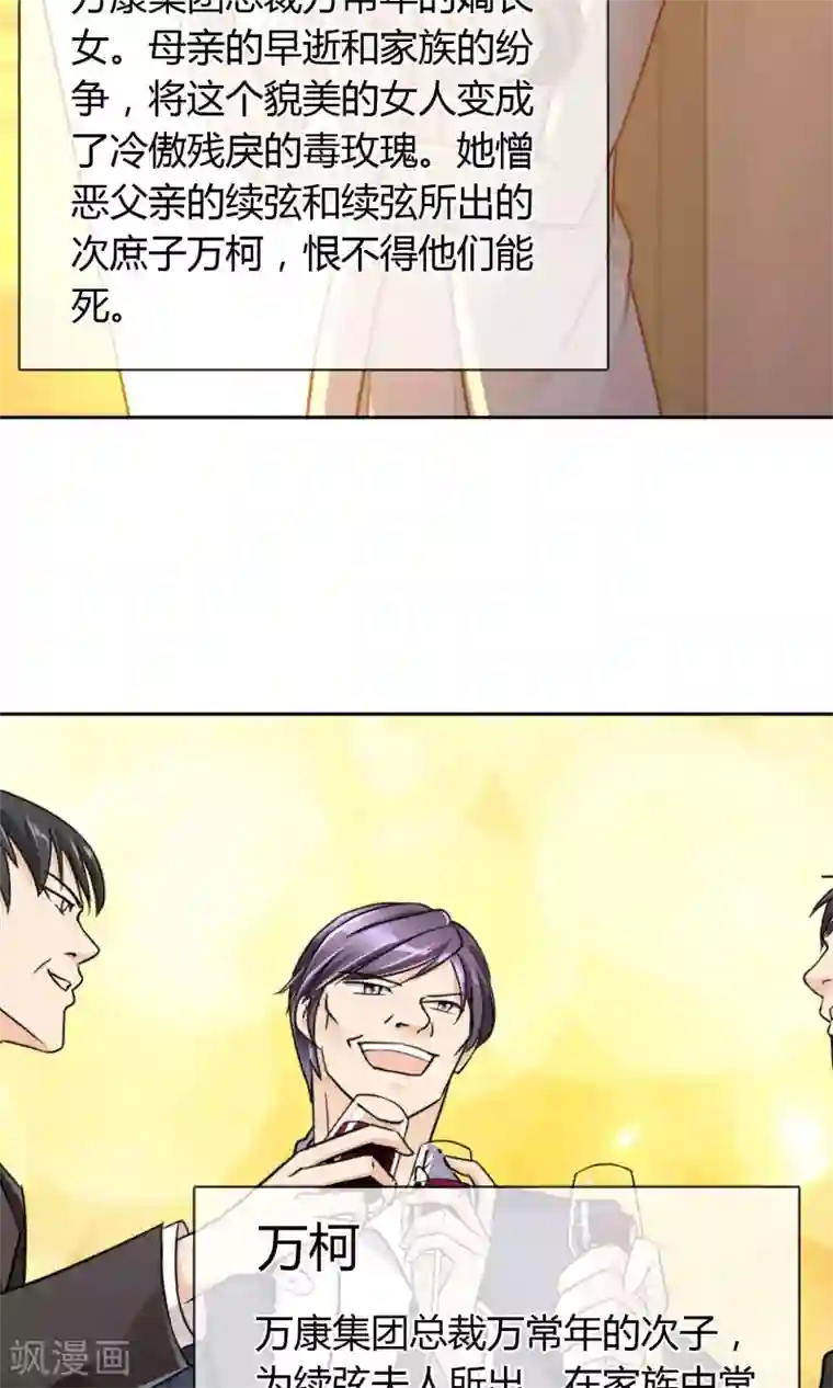 豪门BOSS天价妻番外 人物设定