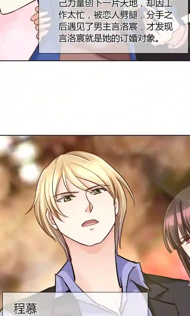 豪门BOSS天价妻番外 人物设定