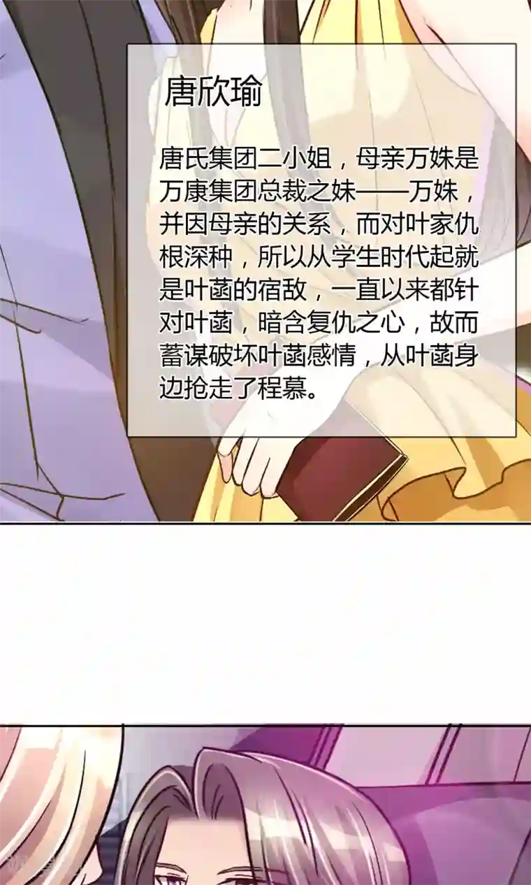 豪门BOSS天价妻番外 人物设定