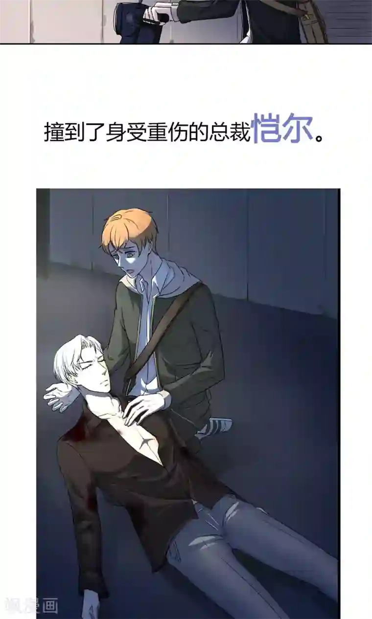 兽种预告