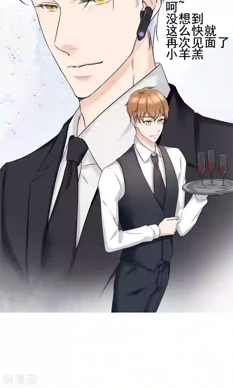 兽种预告