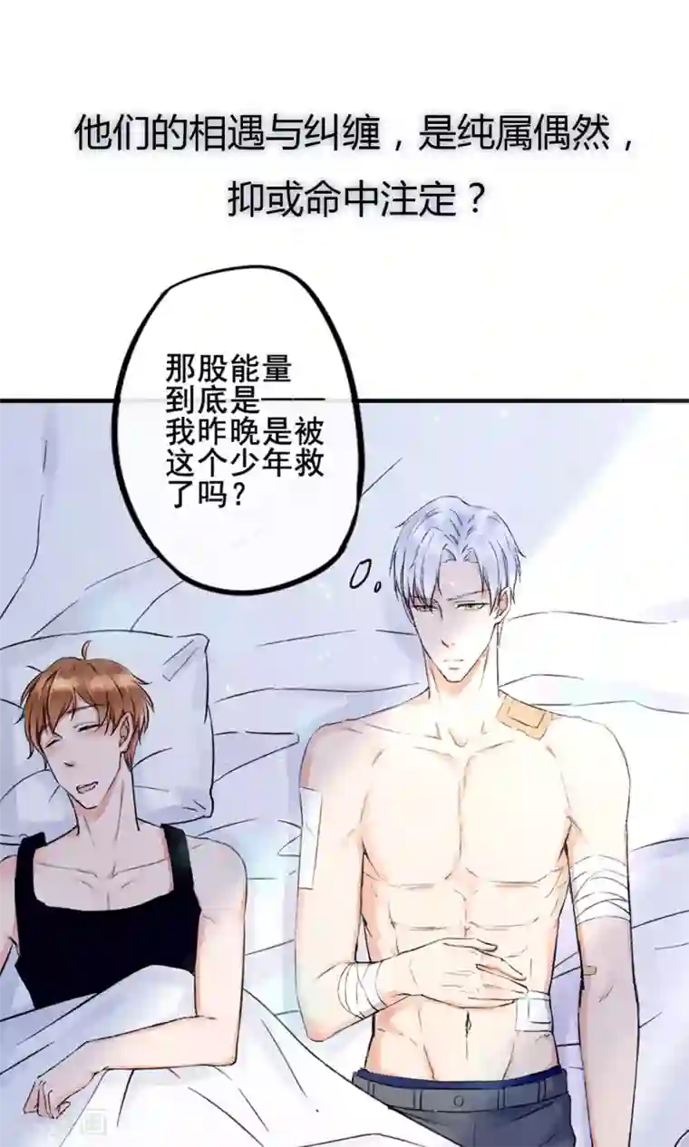 兽种预告