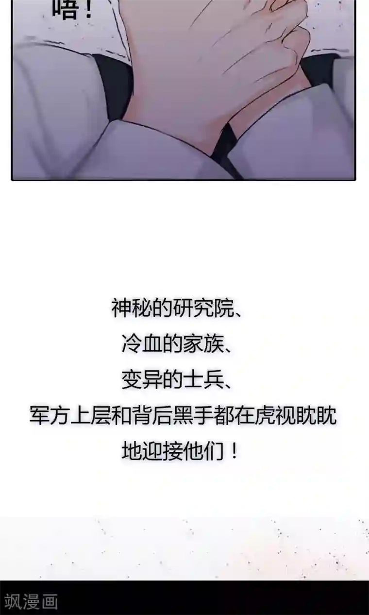 兽种预告
