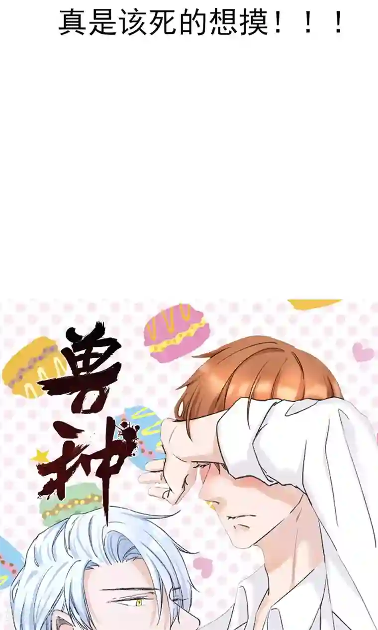 兽种第17话 我要的是个完美的他