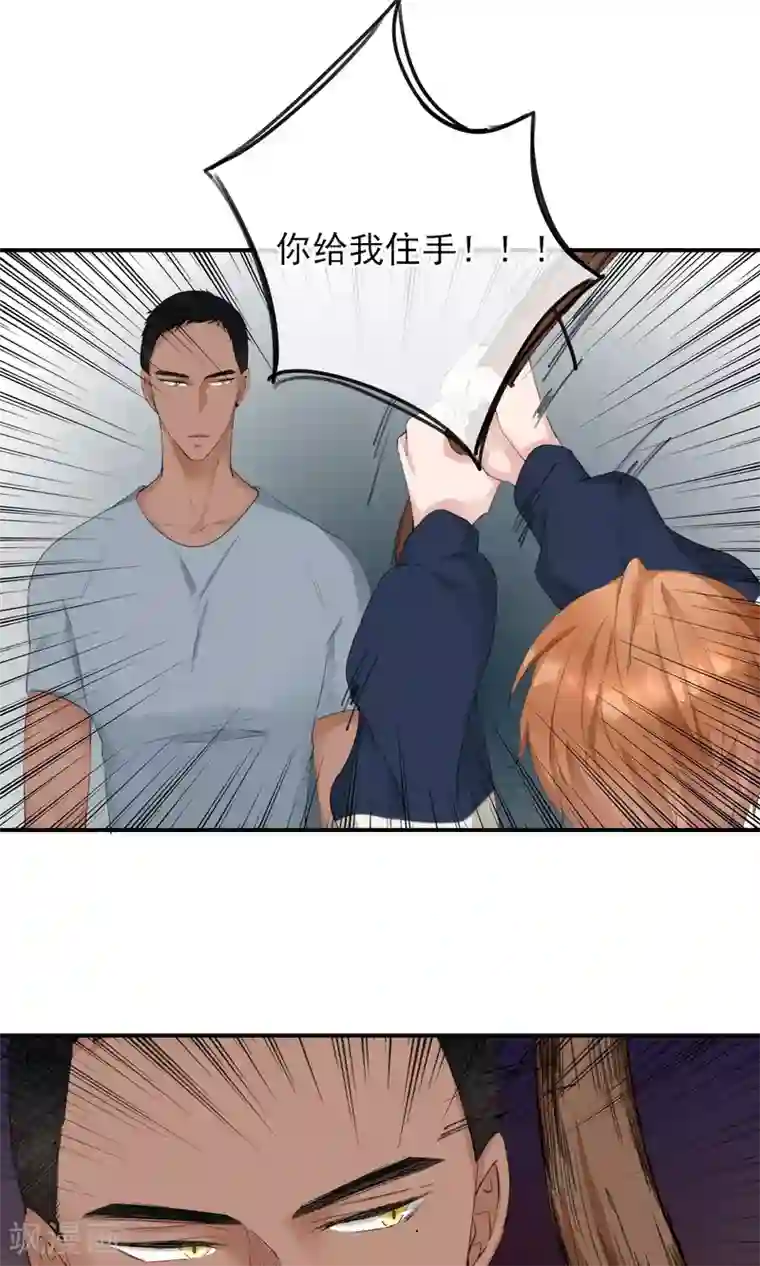 兽种第20话 别动手自己人