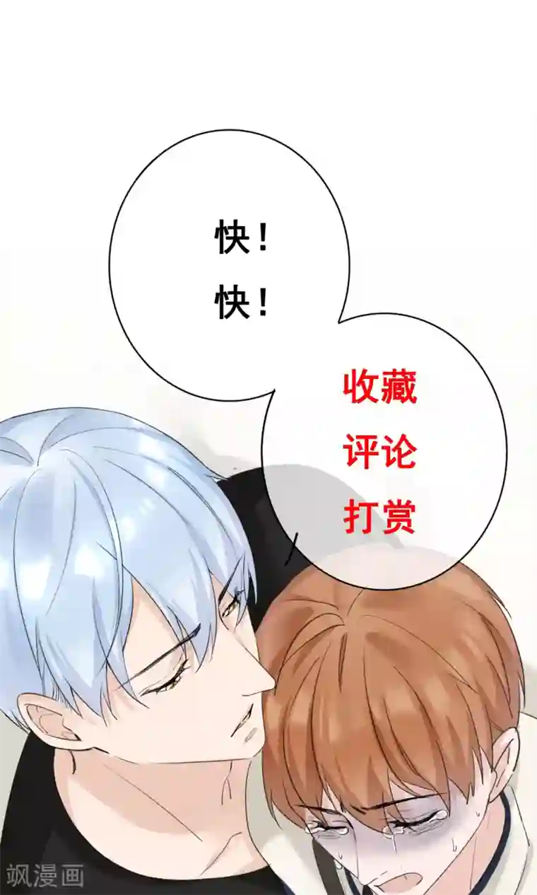 兽种第20话 别动手自己人