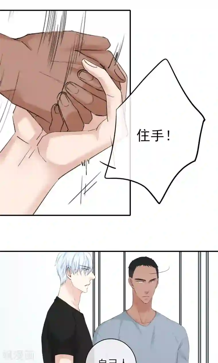 兽种第20话 别动手自己人