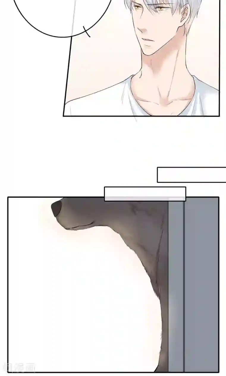 兽种第21话 来吃止痛药啦