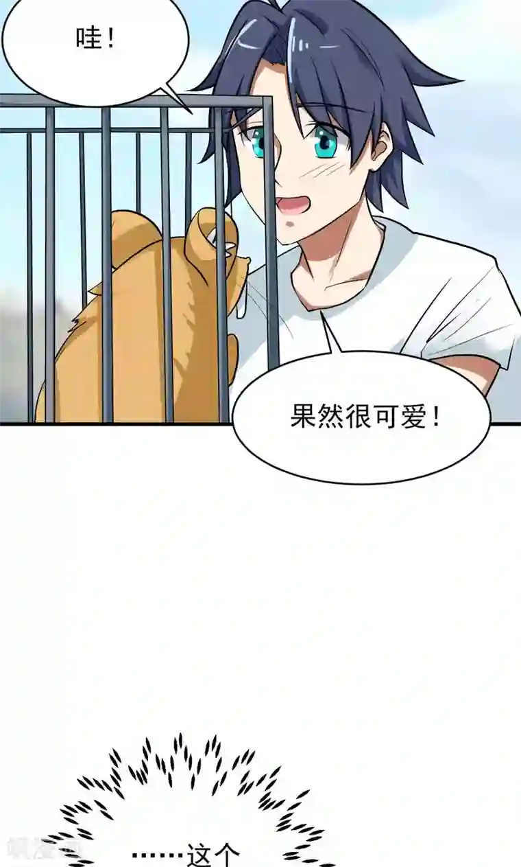 修仙都是被逼的第33话